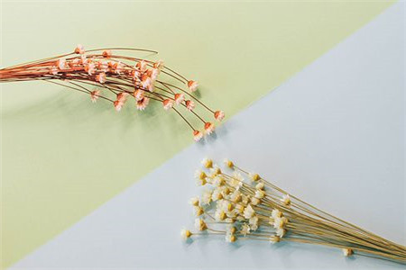 陕西自考学历可以考教师资格证吗?