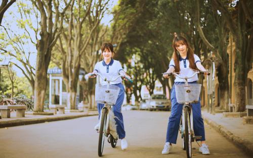 陕西自考报考