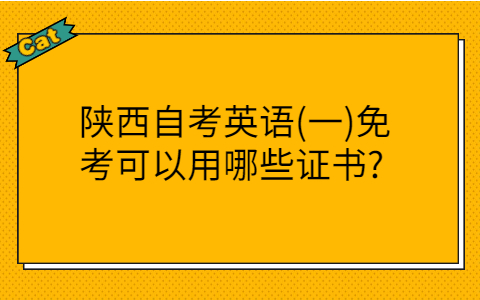 陕西自考英语免考