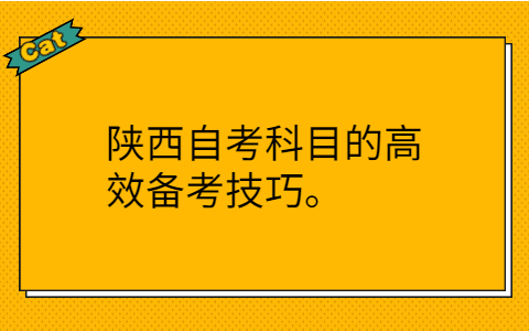 陕西自考网