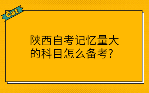 陕西自考网
