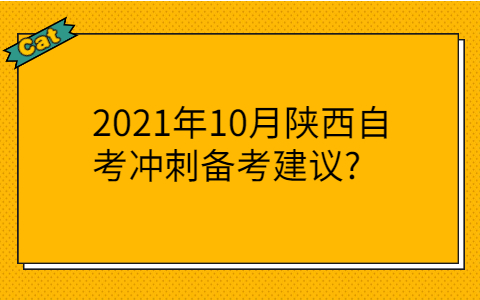 陕西自考网