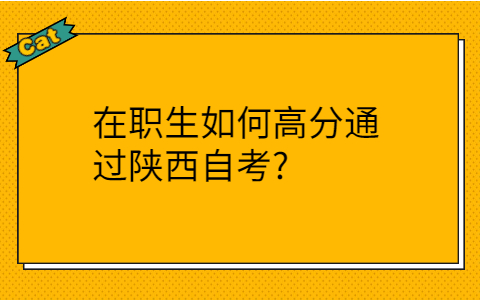 陕西自考网