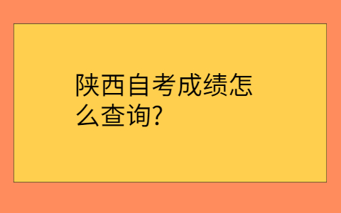 陕西自考网