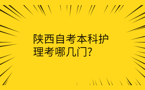 陕西自考本科护理