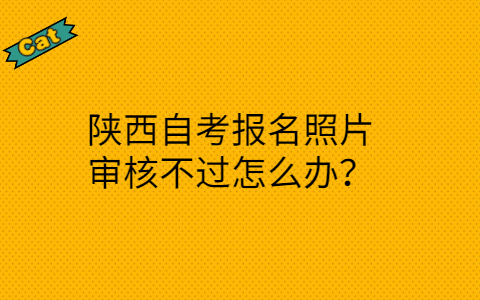 陕西自考报名照片审核不过怎么办