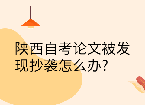 陕西自考论文
