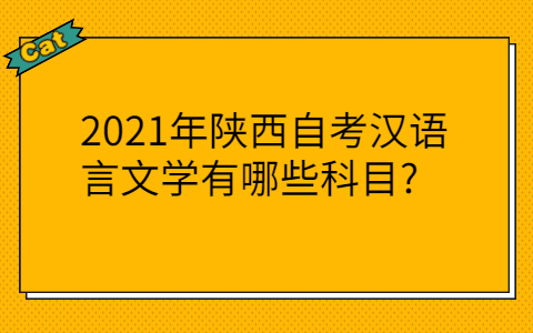 陕西自考有哪些专业