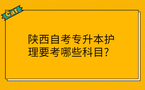 陕西自考专升本考试科目