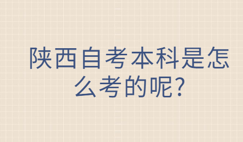 陕西自考本科考试