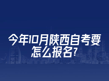 陕西省自考 陕西自考