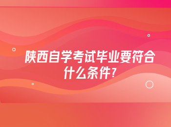 陕西自学考试毕业 陕西自学考试