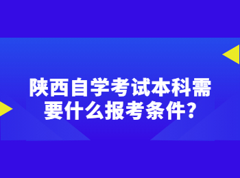 陕西自学考试本科 陕西自学考试