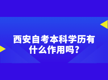 西安自考本科学历 西安自考本科