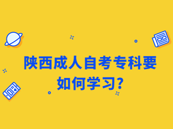 陕西成人自考专科 陕西成人自考