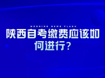 陕西自考缴费