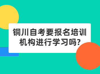 铜川自考 铜川自考网