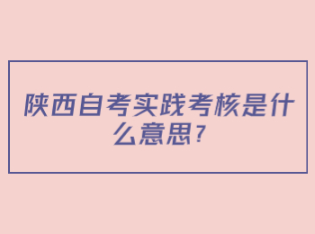 陕西自考实践考核