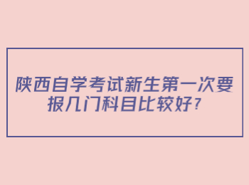 陕西自学考试 陕西自学考试网