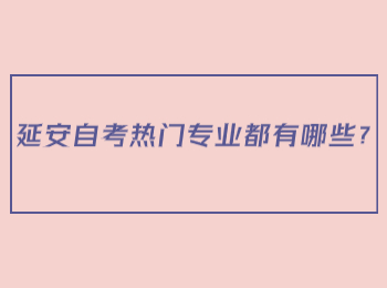 延安自考热门专业