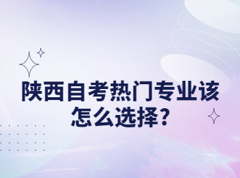陕西自考热门专业 陕西自考