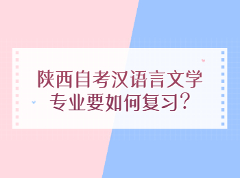 陕西自考汉语言文学 陕西自考